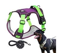 Harnais réfléchissant de Promenade pour Chien - Harnais Confortable Anti-Traction avec poignée de préhension, sécurité réglable en Nylon, équipement d'extérieur Flexible pour Chien | Ensemble de