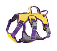 Harnais réfléchissant léger pour petit chien, harnais de dressage confortable, design anti-rupture, harnais de dressage pour chien, sangles réglables, harnais de dressage pour chiens et chats