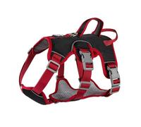 Harnais réfléchissant léger pour petit chien, harnais de dressage confortable, design anti-rupture, harnais de dressage pour chien, sangles réglables, harnais de dressage pour chiens et chats