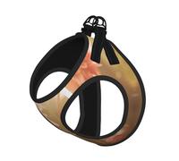 Harnais réfléchissant pour chien avec 3 fleurs colorées et imprimé 2