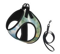 Harnais réfléchissant pour chien avec imprimé aquarelle d'herbes et fleurs, harnais pour chien, harnais pour chiot, laisse pour la marche et l'entraînement