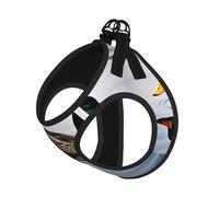 Harnais réfléchissant pour chien avec imprimé canard, harnais et laisse pour chien pour la marche et le dressage