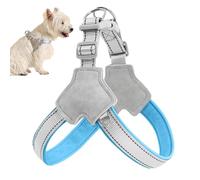 Harnais réfléchissant pour chien, harnais réfléchissant pour animaux de compagnie | Avec clips en Vest Reflective, accessoires d'entraînement pour marcher dans les chiens réglables et