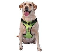 Harnais réfléchissant pour chien imprimé écureuil mignon respirant réglable 4 tailles L avec boucles à dégagement rapide adapté pour les promenades et le camping