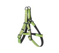 Harnais réfléchissant pour Chiens en Nylon, résistant et réglable, idéal pour des promenades sûres et Une visibilité Nocturne.