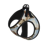 Harnais réfléchissant pour petit chien ou chat avec imprimé cochon d'Inde