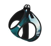 Harnais réfléchissant pour petit chien ou chat Motif vagues Vert océan