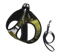 Harnais réfléchissant réglable pour chien, harnais de promenade respirant avec accessoires, laisse, chasse, vol sauvage, sûr, antidérapant, anti-fuite, harnais pour chiot, chat, S