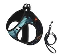 Harnais réfléchissant réglable pour chien, harnais de promenade respirant avec accessoires, laisse, cimetière d'horreur, antidérapant, anti-fuite, harnais pour chiot, chat, S