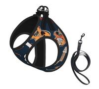 Harnais réfléchissant réglable pour chien, harnais de promenade respirant avec accessoires, laisse, imprimé crâne mexicain, antidérapant, anti-fuite, gilet pour chiot, chat, taille L