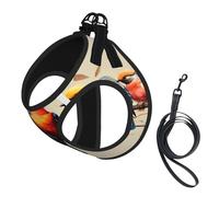 Harnais réfléchissant réglable pour chien, harnais de promenade respirant avec accessoires, laisse, imprimé oiseau coloré, antidérapant, anti-fuite, gilet pour chiot, chat, S