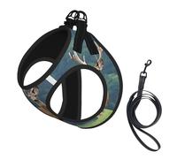 Harnais réfléchissant réglable pour chien, harnais de promenade respirant avec accessoires, laisse, impression d'image de cerfs, antidérapant, anti-fuite, gilet pour chiot, chat, taille M