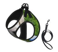 Harnais réfléchissant réglable pour chien, harnais de promenade respirant avec accessoires, laisse, imprimé bichon frisé, antidérapant, anti-fuite, gilet pour chiot, chat, S