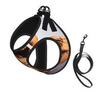 Harnais réfléchissant réglable pour chien, harnais de promenade respirant avec accessoires, laisse, imprimé pépites de chocolat, sûr, antidérapant, anti-fuite, gilet pour chiot, chat, taille L