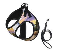 Harnais réfléchissant réglable pour chien, harnais de promenade respirant avec accessoires, laisse, impression peinture diamant, sûr, antidérapant, anti-fuite, gilet pour chiot, chat, L