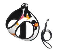 Harnais réfléchissant réglable pour chien, harnais de promenade respirant avec accessoires, laisse, imprimé teckel mignon, sûr, antidérapant, anti-fuite, gilet pour chiot, chat, taille M