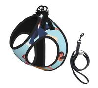 Harnais réfléchissant réglable pour chien, harnais de promenade respirant avec accessoires, laisse, jeu de gymnastique, antidérapant, anti-fuite, harnais pour chiot, chat, taille L