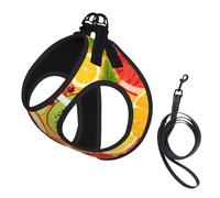Harnais réfléchissant réglable pour chien, harnais de promenade respirant avec accessoires, laisse, kiwi, pastèque, sûr, antidérapant, anti-fuite, harnais pour chiot, chat, taille M