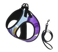 Harnais réfléchissant réglable pour chien, harnais de promenade respirant avec accessoires, laisse, peinture aurore, antidérapant, anti-fuite, harnais pour chiot, chat, S
