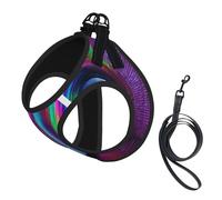 Harnais réfléchissant réglable pour chien, harnais de promenade respirant avec accessoires, laisse, rêves holographiques, sûr, antidérapant, anti-fuite, harnais pour chiot, chat, taille M