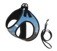 Harnais réfléchissant réglable pour chien, harnais de promenade respirant avec accessoires laisse, statue de la liberté en imprimé NYC, antidérapant, anti-fuite, gilet pour chiot, chat, taille L