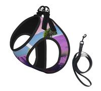 Harnais réfléchissant réglable pour chien, harnais de promenade respirant avec accessoires, laisse, violet romantique, antidérapant, anti-fuite, harnais pour chiot, chat, S