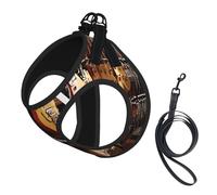Harnais réfléchissant réglable pour chien, harnais de promenade respirant pour animal domestique avec laisse, imprimé guitare musicale, sûr, antidérapant, anti-fuite, gilet pour chiot, chat, taille M