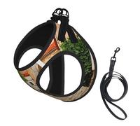 Harnais réfléchissant réglable pour chien, harnais de promenade respirant pour animaux de compagnie avec laisse, Italie Toscane, sécurisé, antidérapant, anti-fuite, harnais pour chiot, chat, L
