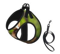 Harnais réfléchissant réglable pour chien, harnais de promenade respirant pour animaux de compagnie avec laisse, imprimé ours en tissu jouet, antidérapant, anti-fuite, gilet pour chiot, chat, taille M