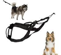 Harnais réfléchissant réglable rembourré | Collier anti-traction pour chien | Sangle réfléchissante | Harnais lesté pour chariot de traîneau pour chien de grande taille