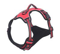 Harnais réglable en maille respirante pour chiens de petite et grande taille - Harnais anti-fugue réglable pour petites filles et garçons - Harnais de promenade pour chiots et grands chiens