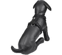 harnais reglable en pp de 25 a 35cm*largeur 10mm - noir Noir G