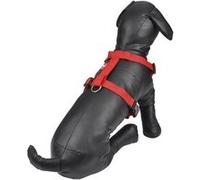 harnais reglable en pp de 25 a 35cm*largeur 10mm - rouge Rouge G