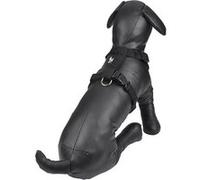 harnais reglable en pp de 35 a 50cm*largeur 15mm - noir Noir G