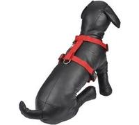 harnais reglable en pp de 35 a 50cm*largeur 15mm - rouge Rouge G