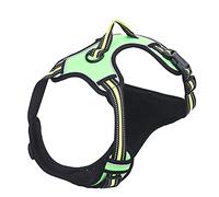 Harnais réglable et respirant pour chiens de petite et grande taille - Harnais anti-fugue réglable pour petits et garçons - Harnais pour promener les chiots