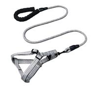 Harnais réglable for Chien, Laisse Pratique for Animaux de Compagnie, Corde Ronde, Confortable, sûr et à la Mode(Grey,S)