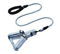 Harnais réglable for Chien, Laisse Pratique for Animaux de Compagnie, Corde Ronde, Confortable, sûr et à la Mode(Blue,S)