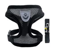 Harnais réglable pour chat avec laisse, en maille douce pour les promenades, convient pour les petits chats, chiots, gilet de taille moyenne pour les aventures en plein air (C, L)