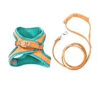 Harnais réglable pour chien, laisse de promenade, collier pour chiot, bande réfléchissante pour petit pour gilet et laisse de taille