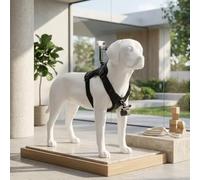Harnais réglable pour chien pour support de poitrine et dos réglable