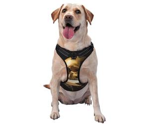 Harnais réglable réfléchissant Oxford pour chien - Motif tête de mort sur un livre ouvert - Contrôle facile