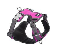 Harnais rembourré pour chien Red Dingo Rose XS
