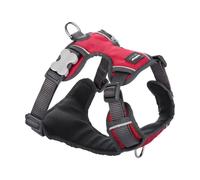 Red Dingo Harnais pour chien Petral matelassé Rouge M