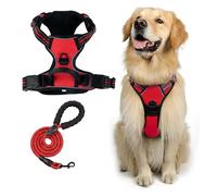 Harnais Respirant for Chien avec Laisse Gratuite - Gilet Souple réglable réfléchissant et Ensemble de Laisse en Corde Robuste(Red,S)
