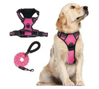 Harnais Respirant for Chien avec Laisse Gratuite - Gilet Souple réglable réfléchissant et Ensemble de Laisse en Corde Robuste(Rose Red,S)