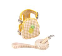 Harnais Sac à Dos pour Chien, Laisse Incluse, Petite Race, randonnée | Poches latérales, sangle réglable, point d'attache laisse, usage randonnée, promenade, voyage, petit chien, confortable