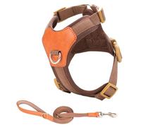 Harnais sans traction pour chiens de petite taille avec laisse