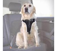 Harnais sécurité Dog Protect M - TRIXIE - 50-65cm - 20mm - Noir - Harnais de sécurité pour chien