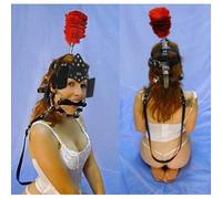 Harnais SM de cheval avec mors, rênes et œillères en Cuir